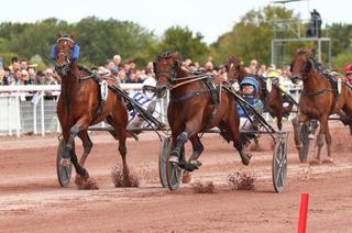 Mercredi à Toulouse - Les partants du 49e Grand Prix du Sud-Ouest