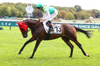 Mister Black, la base solide du Quinté+ du jeudi 8 octobre à Saint-Cloud