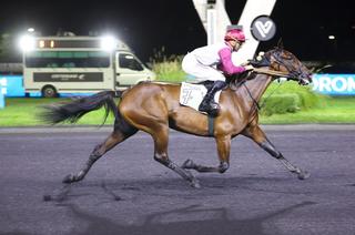 Dimanche à Vincennes - Prix des Élites (Gr. 1) : Analyse et conseil de jeu