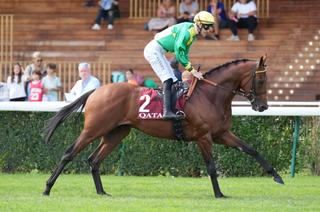 Quinté+ du samedi 3 octobre à ParisLongchamp : Rembrand to Go est un métronome