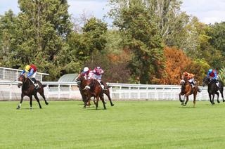 Quinté+ du jeudi 1er octobre à Auteuil : Analyse et décryptage de la course de réf
