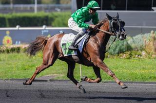 Vendredi à Vincennes - Prix Edmond Henry (Gr.2) : Favori/outsider