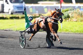 Samedi à Vincennes - Critérium des 5 Ans : Lunella Leman, la relève d'Hussard du Landret