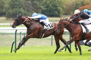 Arrivée et rapports du Quinté+ du dimanche 13 septembre : Aminaco poursuit son ascension !