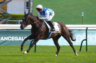 Dimanche à ParisLongchamp - Prix du Prince d'Orange (Gr. 3) : Phineas, de plus en plus impressionnant