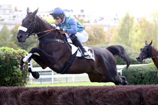 Dimanche à Auteuil - Prix Carmarthen (Gr.3) : Losange Bleu veut remettre les pendules à l'heure