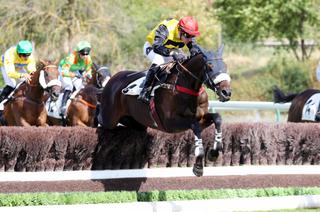 Pascard de Beausse, la base solide du Quinté+ du dimanche 11 octobre à Auteuil