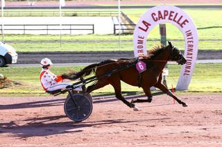 Lord On Way, la base solide du Quinté+ de ce dimanche 4 octobre