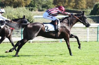 Samedi à Auteuil -  Prix Heros XII (Gr. III) : Favori/Outsider