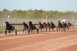 Quinté+ du vendredi 16 octobre à Vincennes : Analyse et décryptage de la course de réf