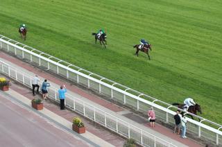 Samedi à Auteuil - Prix de Maisons-Laffitte (Gr. 3) : Guadalquivir sans opposition