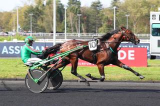 Dimanche à Vincennes - Prix de Troyes (Gr. 3) - Joël Hallais : "Nobel du Rib est un top cheval"