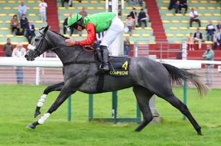 Dimanche à Auteuil - Prix Magne : Alice’s Saga, l’invaincue à l’épreuve d’Auteuil