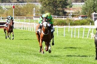 Filippino, l’outsider séduisant du Quinté+ du jeudi 22 octobre à Auteuil