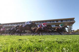 Qatar Prix de l'Arc de Triomphe : Les réactions de l'édition 2026