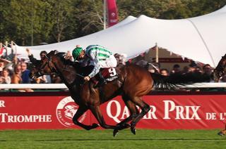Dimanche à ParisLongchamp - Prix de L'Opéra Longines (Gr.1) : Miss Scott remporte la palme dans "l'Opéra".