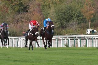 Maniysa Bleue, la base solide du Quinté+ du jeudi 22 octobre à Auteuil