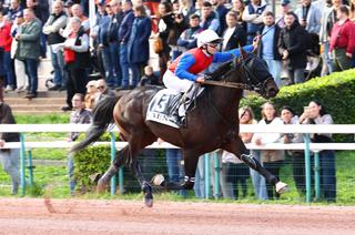Saint-Leger des Trotteurs : pari réussi pour Nuevo Cash