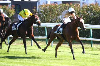 Arrivée et rapports du Quinté du jeudi 15 octobre à Chantilly : Heroiste sans combattre