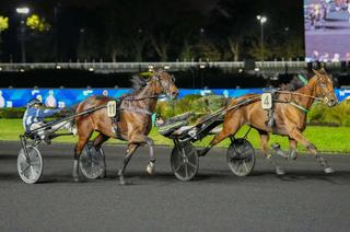 Arrivée et rapports du quinté du vendredi 16 à Vincennes : Kiss Me Again vous embrasse !