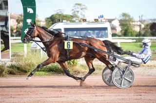 49ème Grand Prix du Sud-Ouest : Inexess Bleu domine Idao de Tillard avec assurance