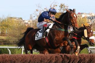 Quinté+ du samedi 7 mars à Auteuil : Shaenjet devrait courir en progrès
