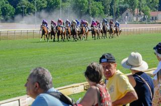 Quinté+ du lundi 20 juillet à Vichy : Analyse et décryptage de la course de réf