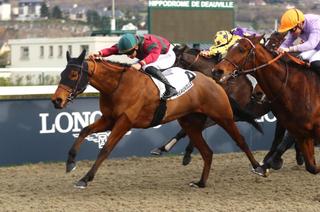 Track Test Quinté+ du jeudi 19 mars à Saint-Cloud : Windflower, un finish à la vitesse du vent
