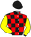casaque_MONTUSSAN