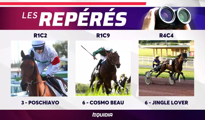 Les repérés en piste pour le mardi 19 novembre Equidia