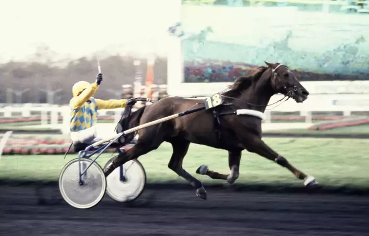 Nouvel hommage au cheval mythique Ourasi
