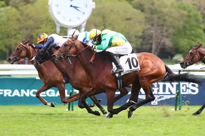 Quinté+: arrivée et rapports du Quinté+ du dimanche 12 avril : Karla ...