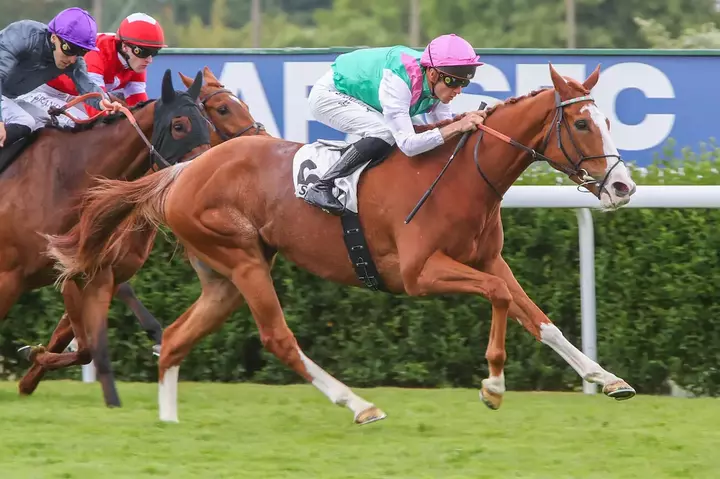Prix Allez France : Sunly brille pour sa réapparition | Equidia