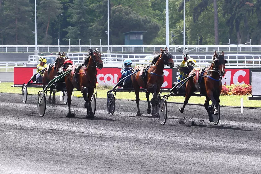 Prix Ténor de Baune Excellent, un