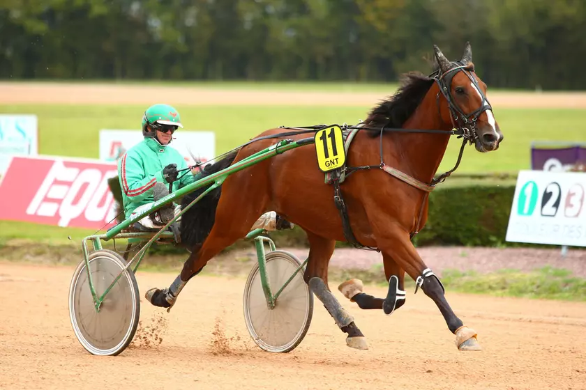 Cash du Rib imp rial dans la finale du Tour Europ en du Trotteur