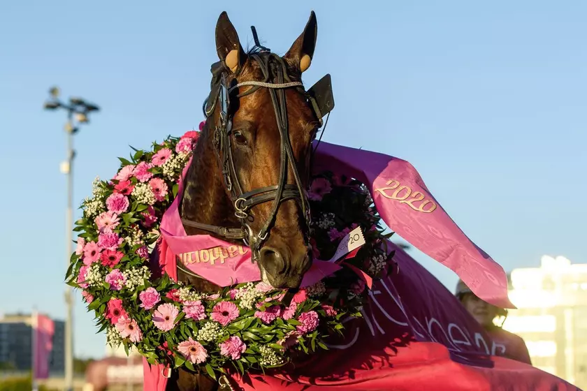 Les dernières infos en direct de Solvalla | Equidia