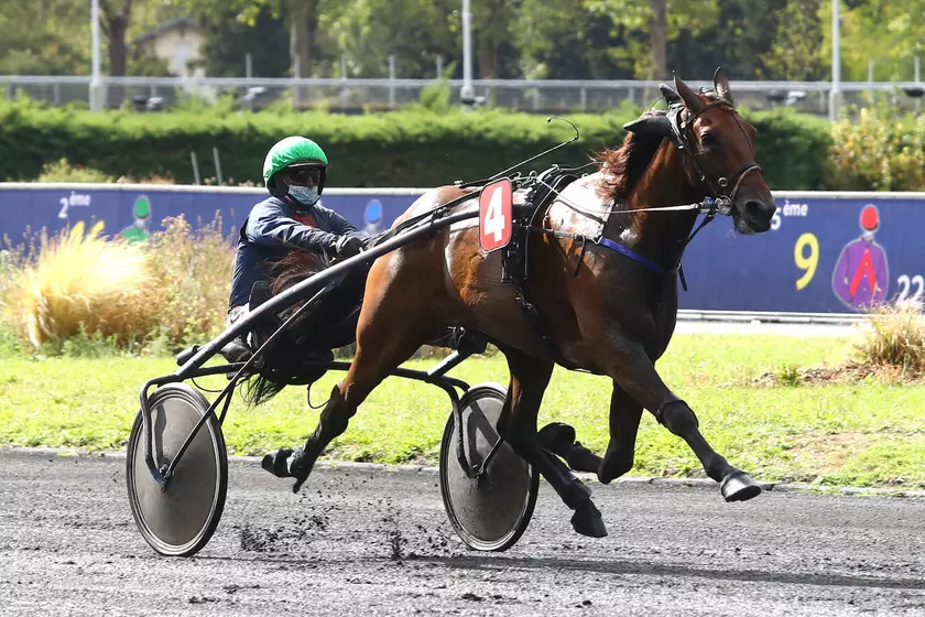 Engagement des chevaux trotteurs hotsell