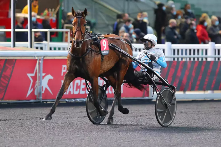 Ampia Mede Sm Cheval