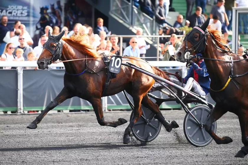 Critérium 4 ans Q3 Prix Gaston de Wazières Inoubliable bien partie