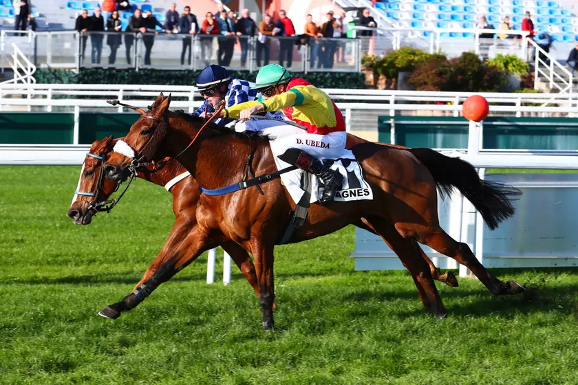 Quinté+: Arrivée du Quinté+ à Cagnes sur mer, Jimble Moon remporte le ...
