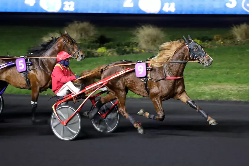 Prix Emmanuel Margouty Kamehameha confirme, dans un temps record