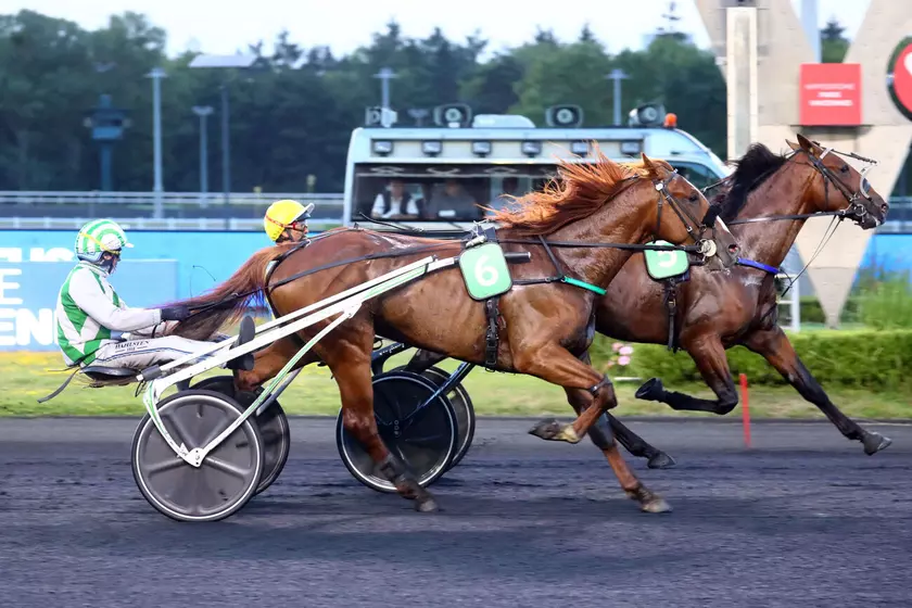 Quinté+: Jim Perrine, l’outsider séduisant du Quinté+ de ce jeudi 28 ...