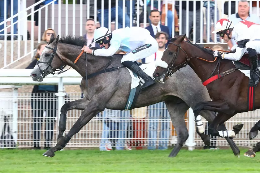 Prix Robert Lejeune (Gr. 3) à Auteuil Master d'Oc en route vers le