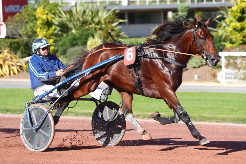 Image de l'article
