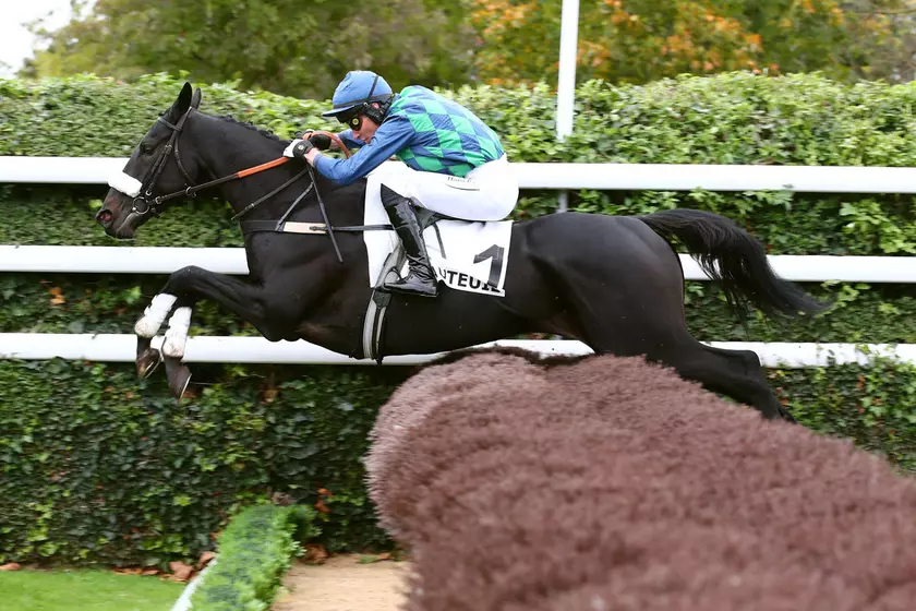 Quinté+: Analyse des partants de la Racing Tv Grande Course de Haies d ...