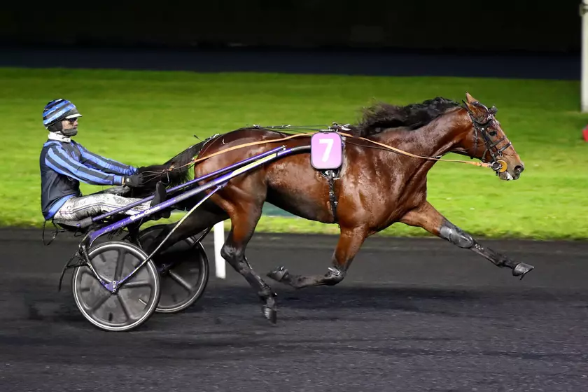 Analyse des partants du Prix Ténor