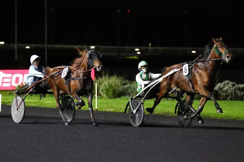 Image de l'article