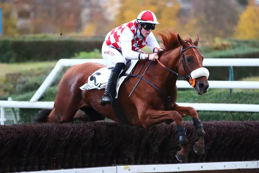 Image de l'article