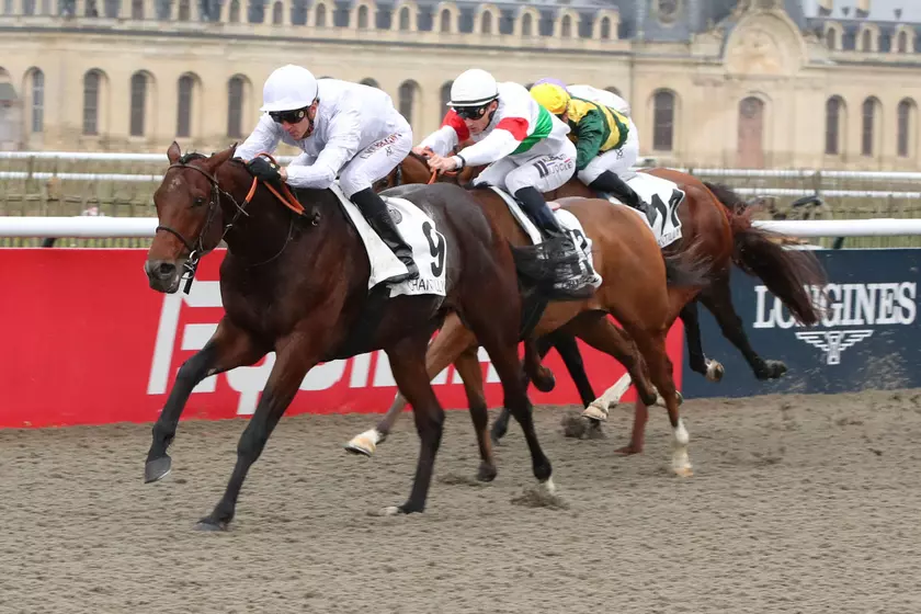 Image de l'article