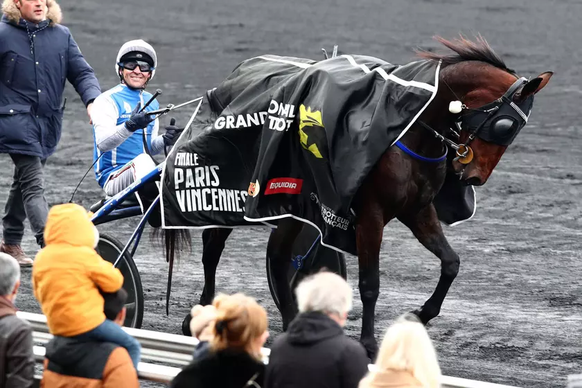 Quinté+: Eric Raffin 